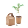 Pine tree set GROWTREE™ Sport and leisure Logo printing or engraving