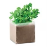 Compost with seeds "PARSLEY" PARSELY Sport and leisure Logo printing or engraving