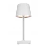 VIDIA office lamp Office accessories Logo printing or engraving