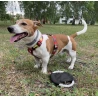 Psí frisbee RINGO Sport a volný čas Tisk nebo gravírování loga