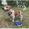 RINGO Hunde-Frisbee Sport und Freizeit Logodruck oder Gravur