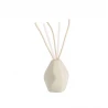 Vanilla Season Diffuser