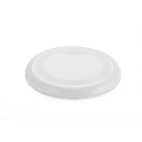 Frisbee ZING