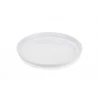 Frisbee ZING