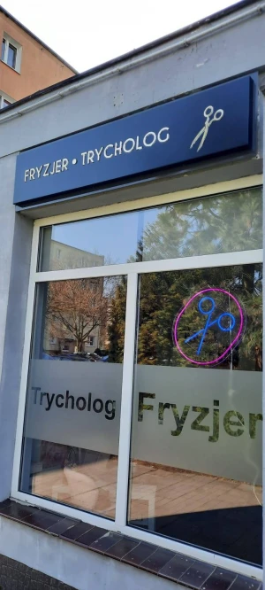 Advertising panels, led neon signs and pythons 5