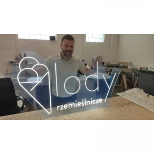 Advertising panels, led neon signs and pythons 22